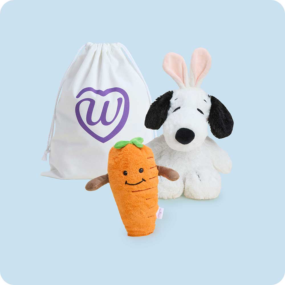 Snoopy??s Springtime Duo